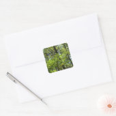 Natuur van lentemaple vierkante sticker (Envelop)