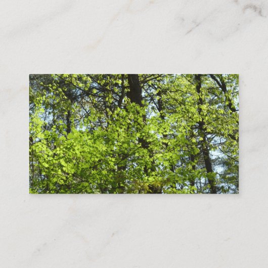 Natuur van lentemaple visitekaartje (Achterkant)