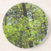 Natuur van lentemaple zandsteen onderzetter (Voorkant)