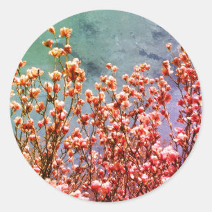 Natuur van Magnolia Flowers Blue Sky Kunst Ronde Sticker