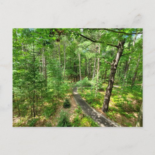 Natuur van Midland Michigan Briefkaart (Voorkant)