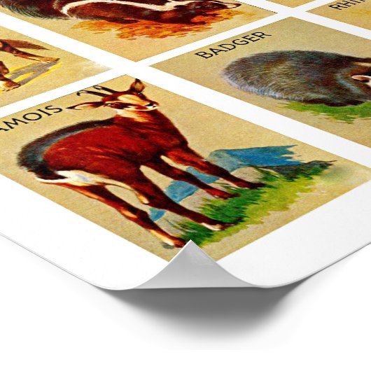 Natuur van oerwouden en bossen poster (Hoek)