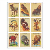 Natuur van oerwouden en bossen sticker (Voorkant)