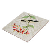 Natuur van Paarse kweekvijvers Tegeltje (Zijkant)