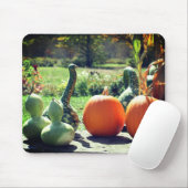 Natuur van reuzenpompoenen en pompoenen muismat (Met muis)