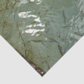 Natuur van Rock Slab met waterdekking Tissuepapier (Detail)