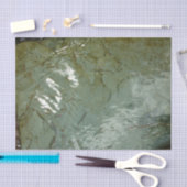 Natuur van Rock Slab met waterdekking Tissuepapier (Craft)