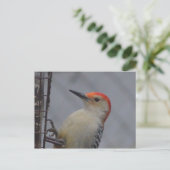 Natuur van roodbaardvogel briefkaart (Staand voorkant)