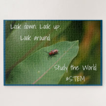 NATUUR van STEM-insectenblad