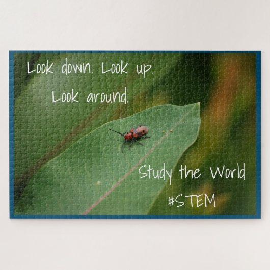 NATUUR van STEM-insectenblad Legpuzzel (Horizontaal)