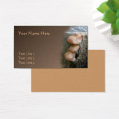 Natuur van wilde bruine paddenstoelen pellen visitekaartjes (Bureau)