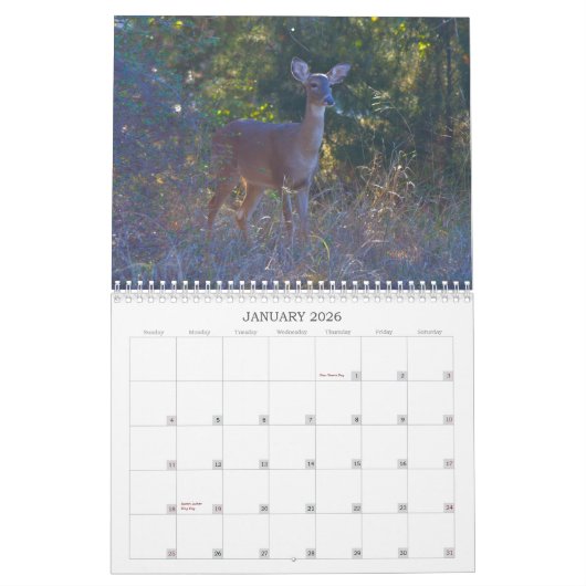 Natuur van wilde herten kalender (Jan 2026)
