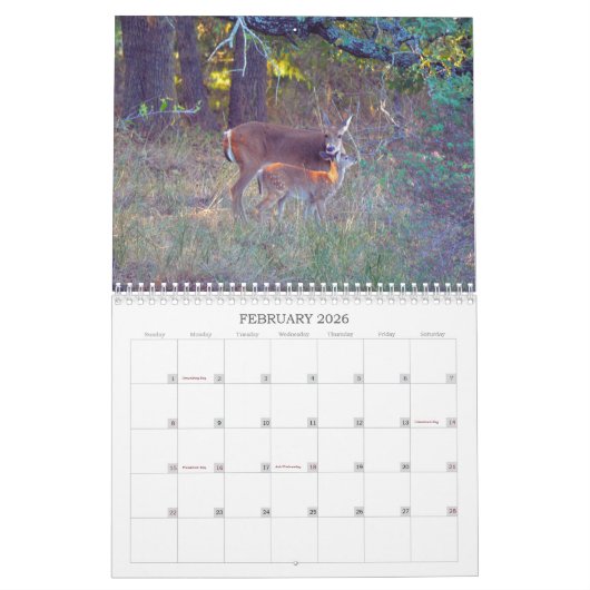 Natuur van wilde herten kalender (Feb 2026)