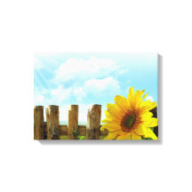 Natuur van zonnebloemen