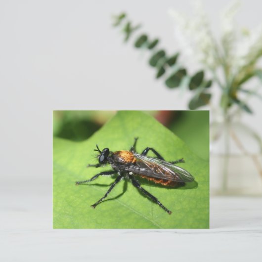 Natuur vastlopen Insect Sluiten Briefkaart (Staand voorkant)