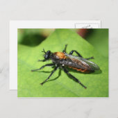 Natuur vastlopen Insect Sluiten Briefkaart (Voorkant / Achterkant)