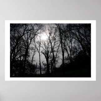 Natuur Veins Poster