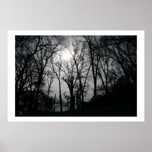 Natuur Veins Poster (Voorkant)