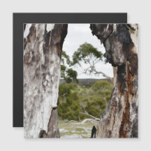 Natuur Venster Magnetische Kaart