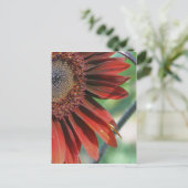 Natuur verbrande Oranje zonnebloempitten Briefkaart (Staand voorkant)