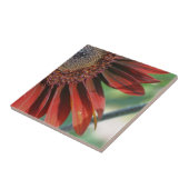 Natuur verbrande Oranje zonnebloempitten Tegeltje (Zijkant)