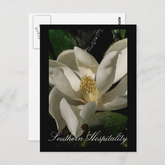 Natuur Verfrist Briefkaart (Voorkant / Achterkant)