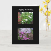 Natuur Verjaardkaart Kaart (Gele Bloem)