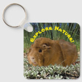 Natuur verkennen met een foto van de stekelkoepelr sleutelhanger (Voorkant)