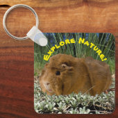 Natuur verkennen met een foto van de stekelkoepelr sleutelhanger (Voorkant)