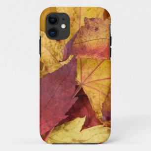 Natuur verlaat Herfst Herfst Tree Leaf Kleurrijke  iPhone 11 Hoesje