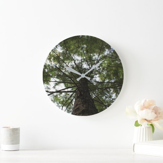 Natuur Vibes Grote Klok (Huis)