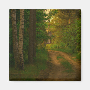Natuur Village Rural Hut Forest Belarus Birch Magneet