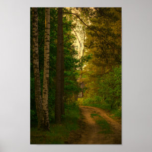Natuur Village Rural Hut Forest Belarus Poster