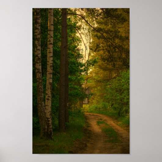 Natuur Village Rural Hut Forest Belarus Poster (Voorkant)