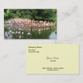 natuur visitekaartje flamingo (Voorkant / Achterkant)
