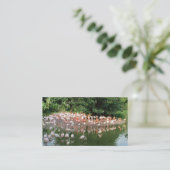 natuur visitekaartje flamingo (Staand voorkant)