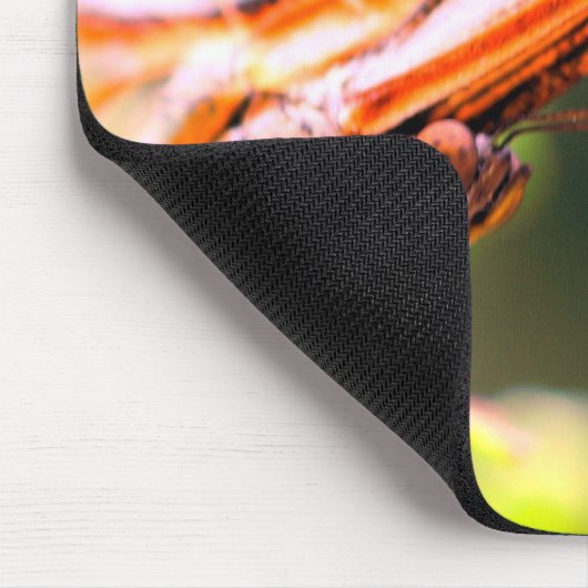 Natuur vlinderkant muismat (Hoek)