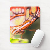 Natuur vlinderkant muismat (Met muis)