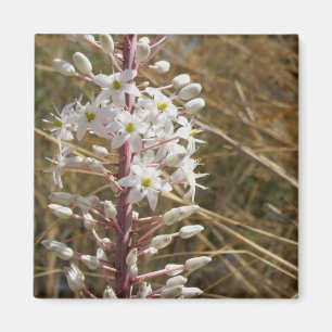 Natuur Vloermagneet Magneet