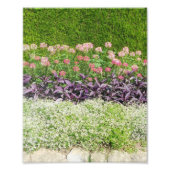 Natuur Vloertuin Foto Afdruk (Voorkant)