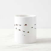 Natuur | Vluchten van Ganese migranten Koffiemok (Center)