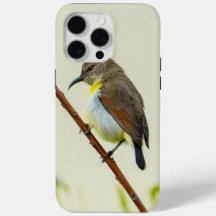 Natuur Vogel Hoesje voor Telefoon