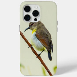 Natuur Vogel Hoesje voor Telefoon