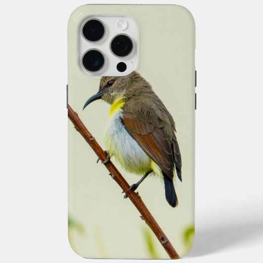 Natuur Vogel Hoesje voor Telefoon (Achterkant)