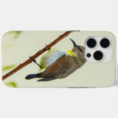 Natuur Vogel Hoesje voor Telefoon (Achterkant (horizontaal))
