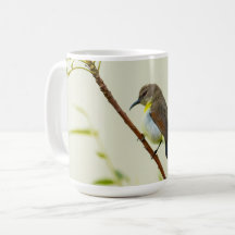 Natuur Vogel Mok
