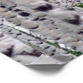 Natuur vogelbomen poster (Hoek)