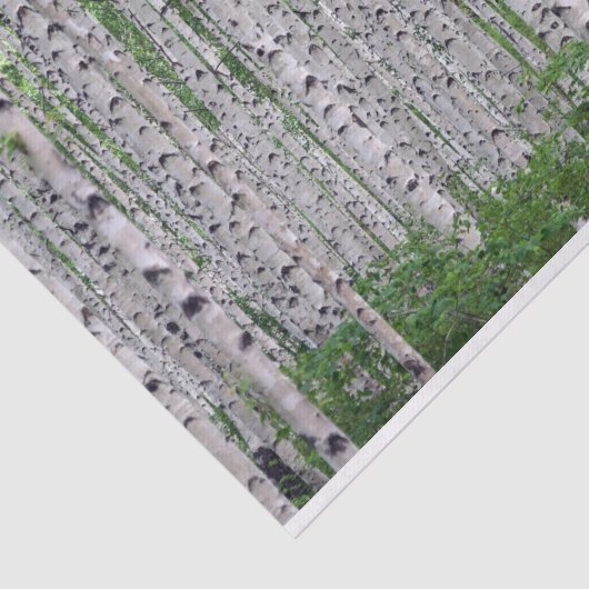 Natuur vogelbomen tissuepapier (Detail)