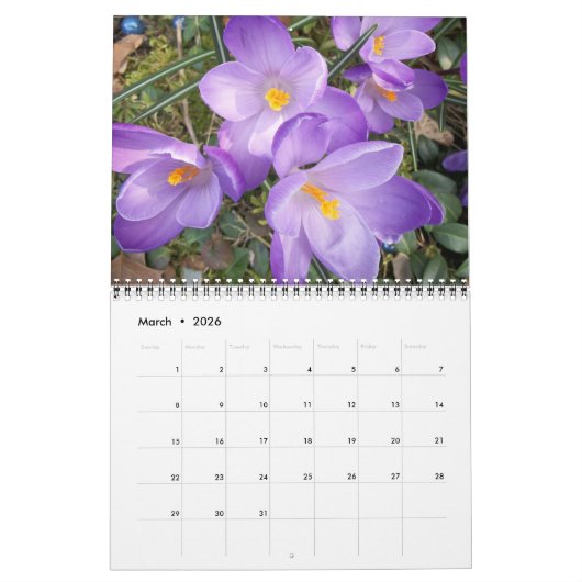 Natuur - vogels - landschap 12 maanden kalender (Mar 2026)