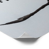 Natuur voor het aanvliegen van zeebrasem Eagle Bir Poster (Hoek)